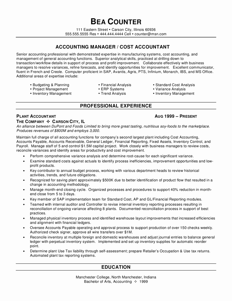 Resume for Accountant Writing Tips In 2016 2017