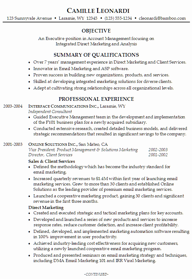 Resume for An Executive Account Manager Susan Ireland