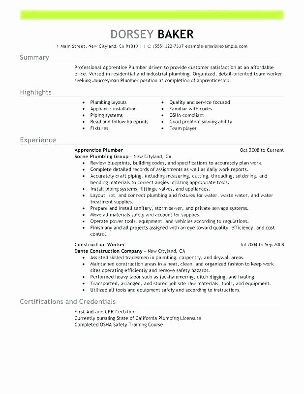 Resume for Carpenter – Breathelight