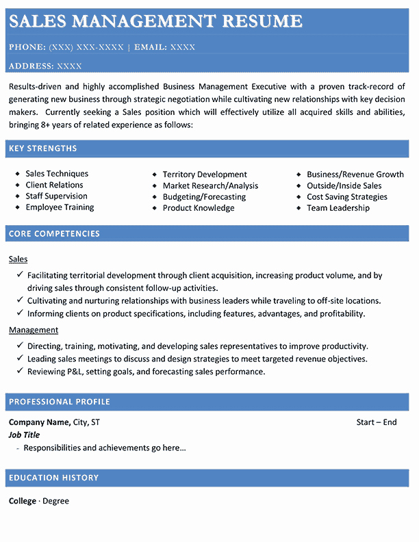 Resume for Sales Manager Position 2018