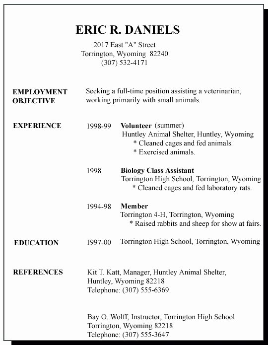 Resume for Students First Job Best Resume Collection