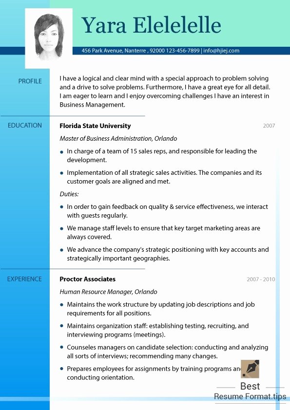 Resume format Examples for Students Samples Resumes