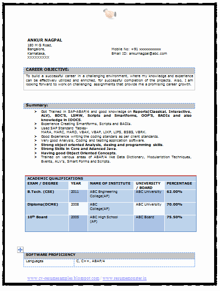 Resume format for B Tech Cse Writing and Editing