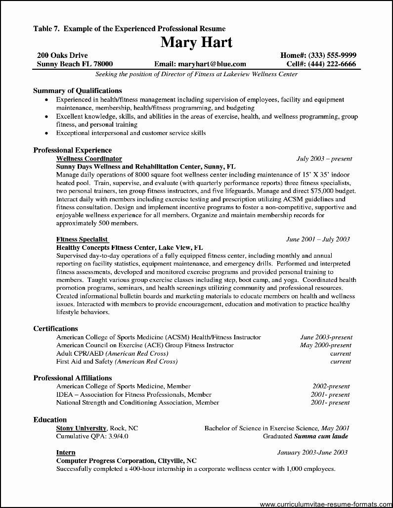 Resume format for Experienced It Professionals Pdf Free
