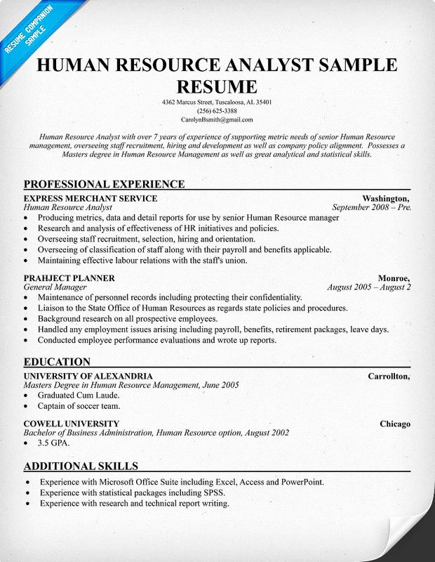 Resume format Resume Template Human Resources