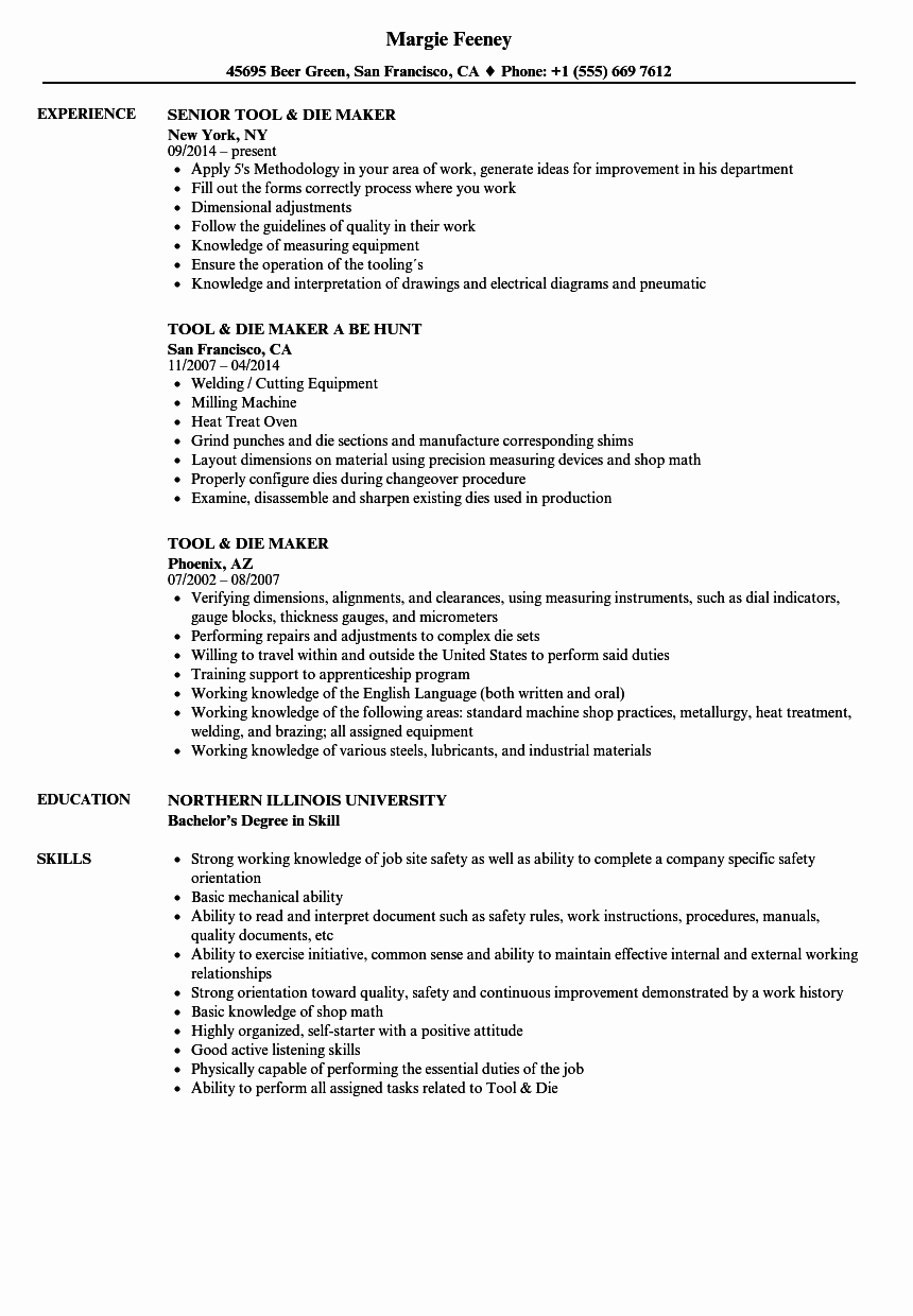 Resume forms to Fill Out