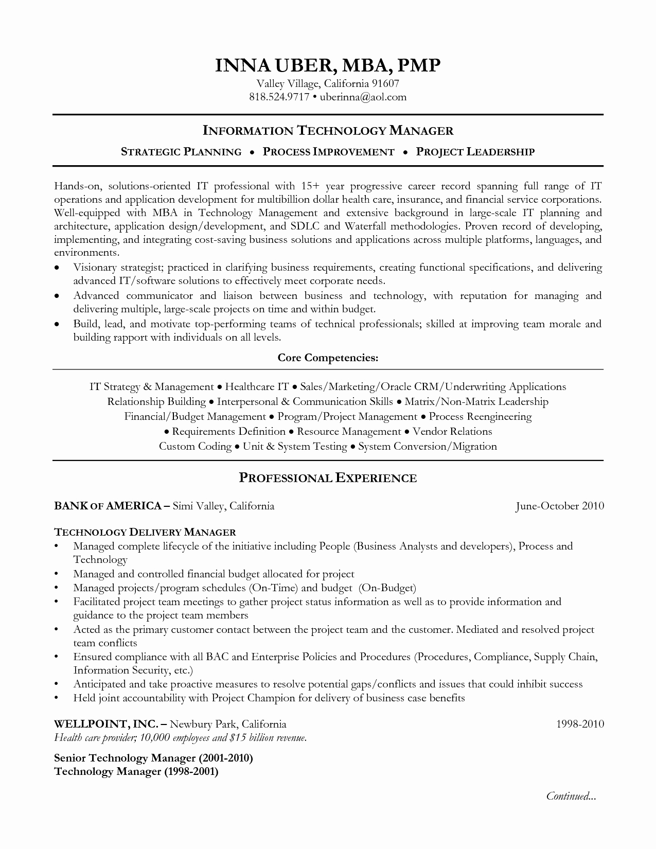 resume information technology sample