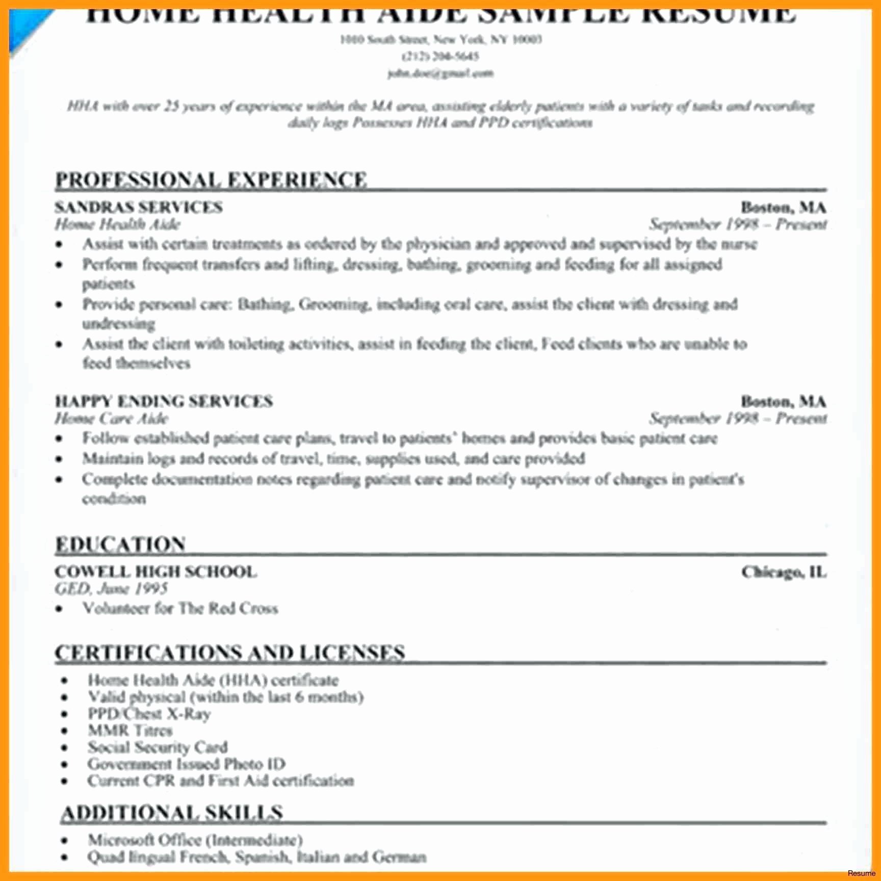Resume Nurse Aide Resume