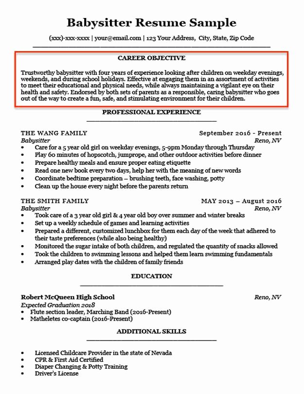 Resume Objective Examples for Students and Professionals