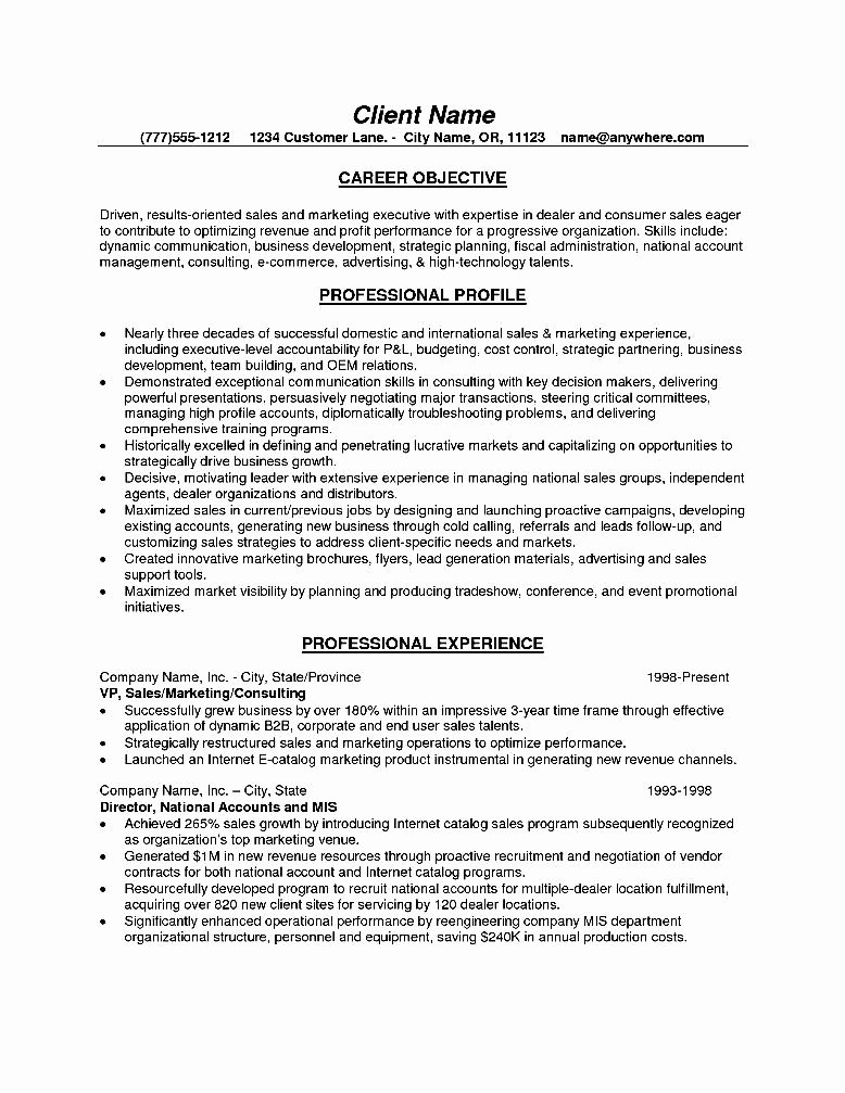 Resume Objective for Sales Executive Free Samples