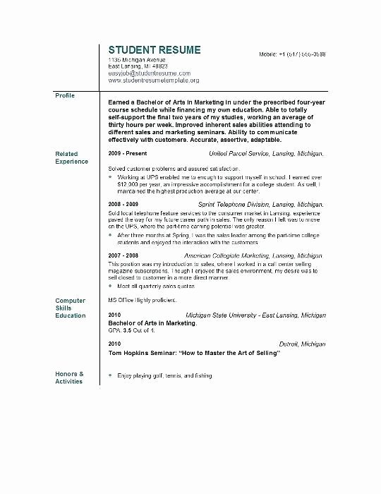 Resume Opening Statement Examples