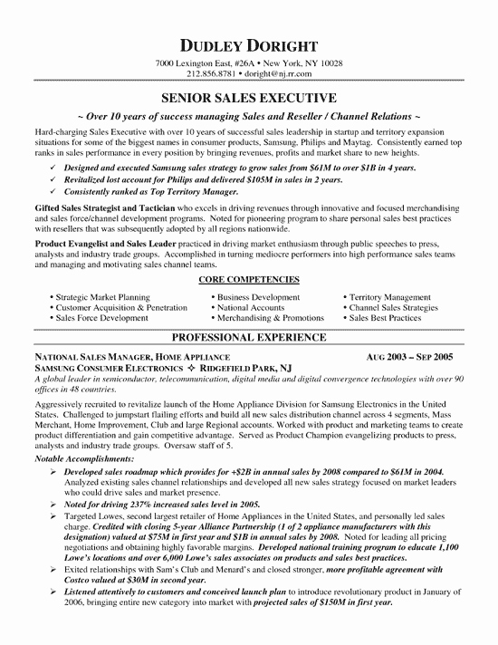 Sales Job Description Resume Letter Example Template