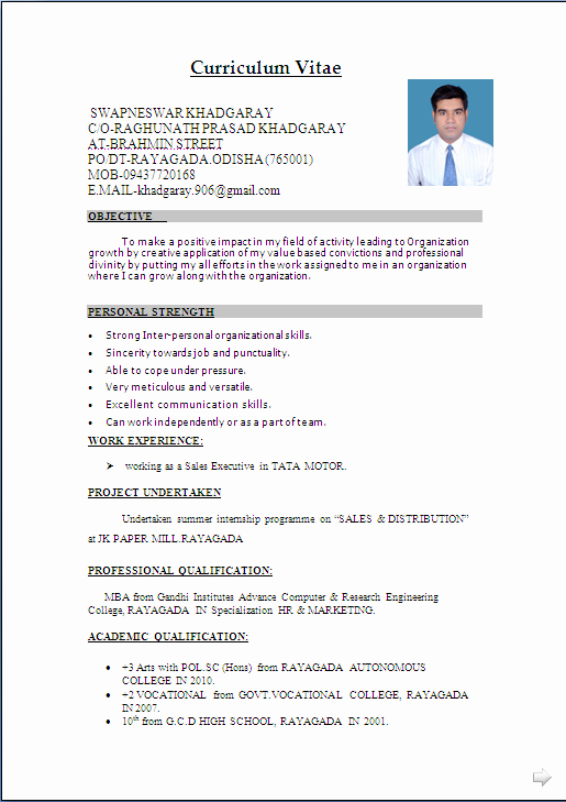 Resume Sample In Word Document Mba Marketing &amp; Sales