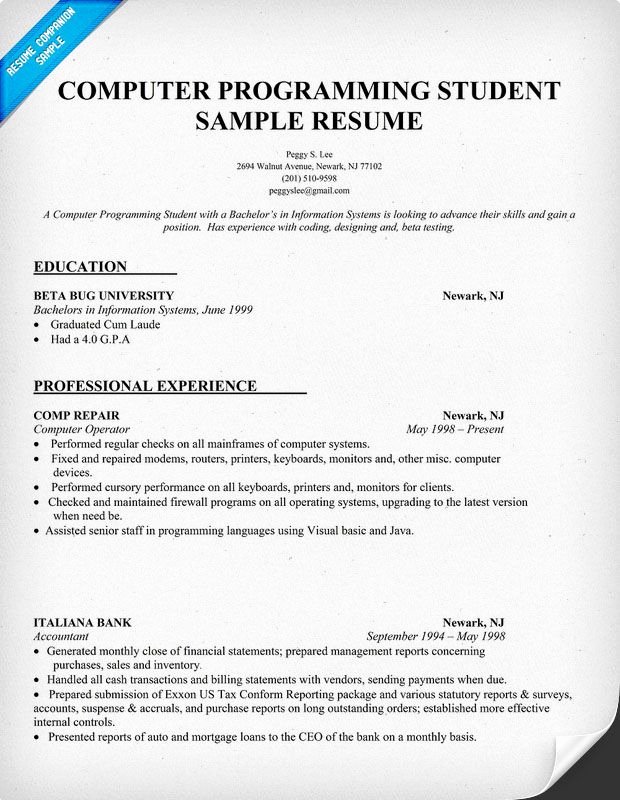Resume Sample Puter Programming Student