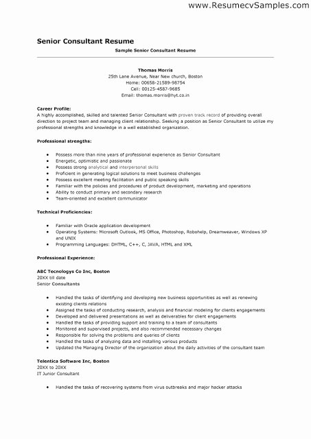 senior consultant resume