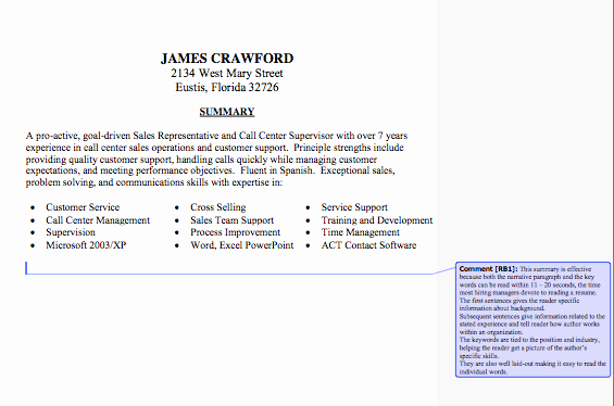 Resume Statement Best Template Collection