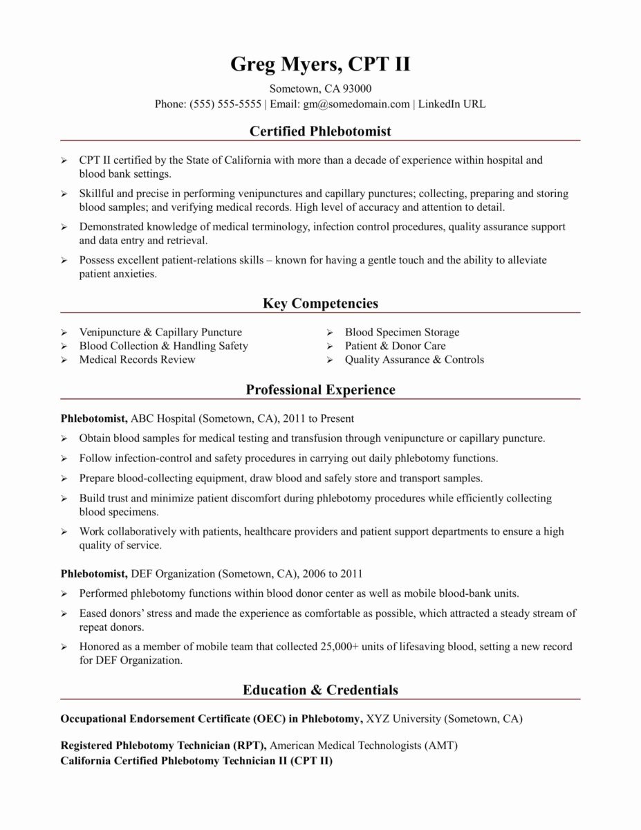 Resume Summary Examples Entry Level Download Resum for