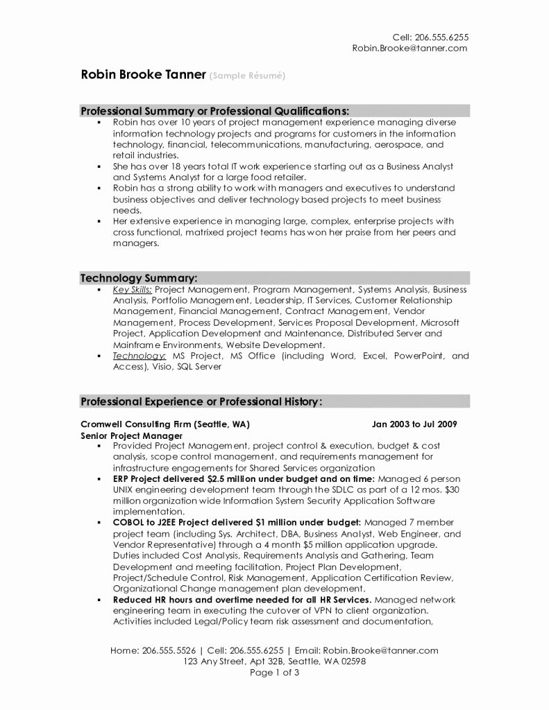 Resume Summary Examples for College Students