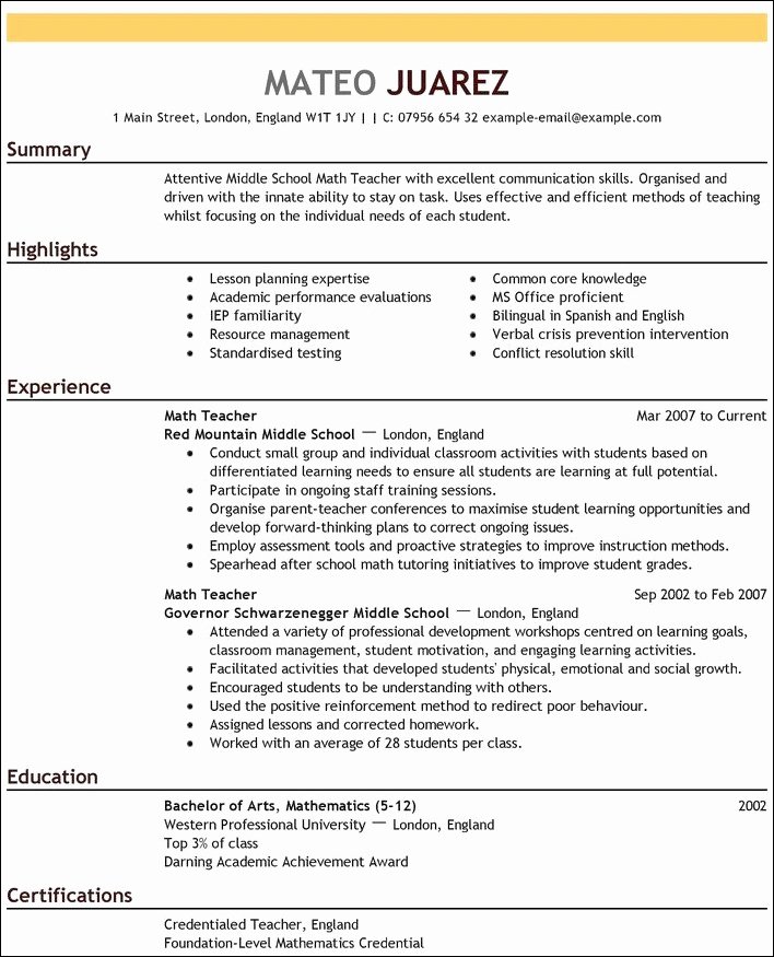 Resume Summary Section Tyneandweartravelfo