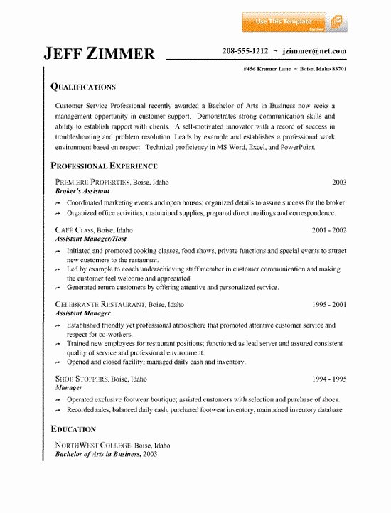 Resume Summary Statement Examples Customer Service Best
