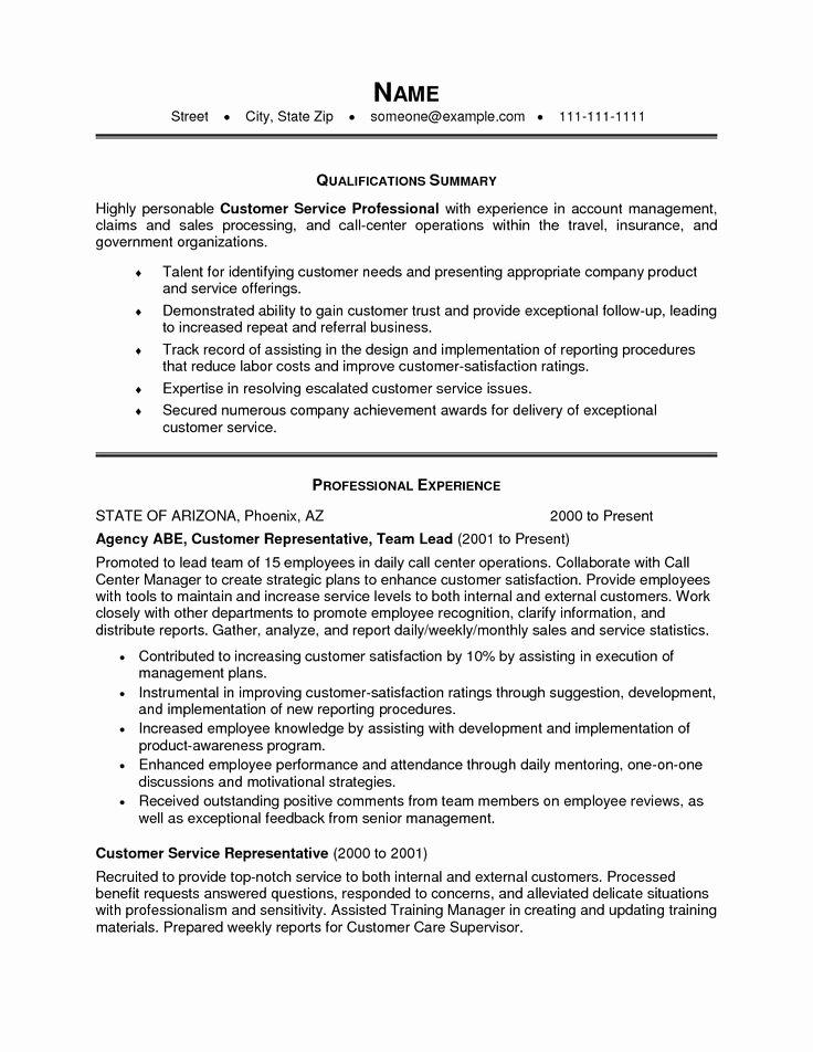 Resume Summary Statement Examples Customer Service Best