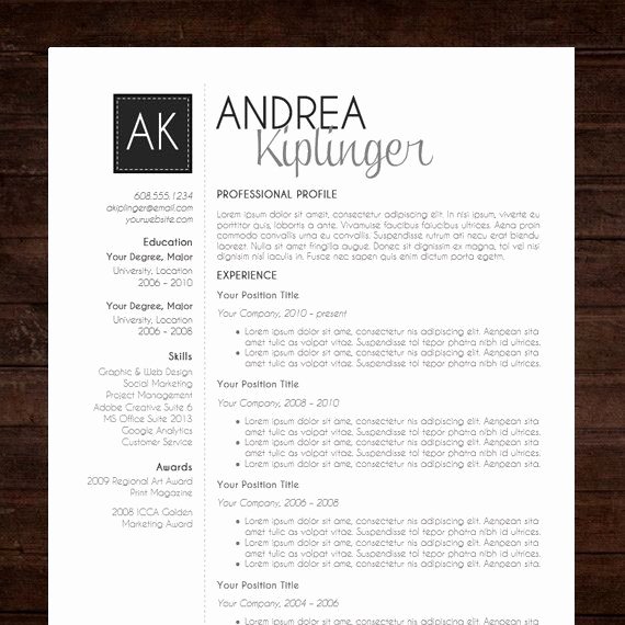 Resume Template Cv Template Word for Mac or Pc