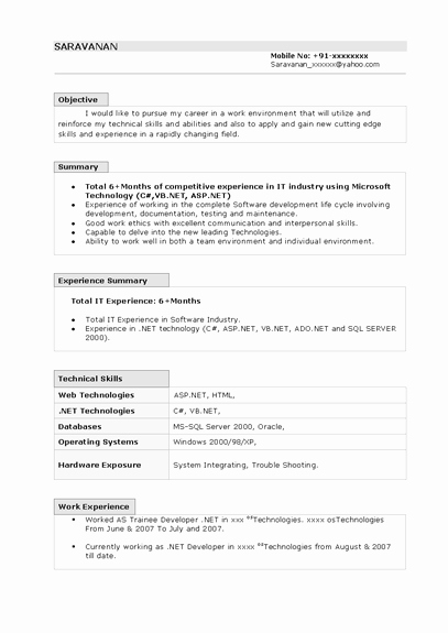 Resume Template Word 2007 Mac