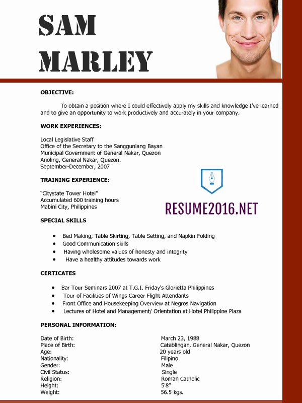 Resume Templates 2016 • which One Should You Choose