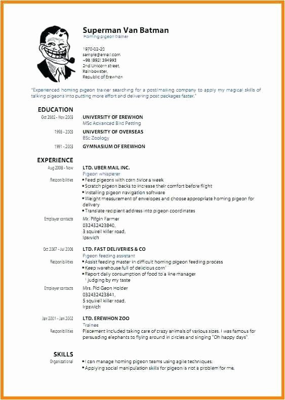 Resume Templates for Kids
