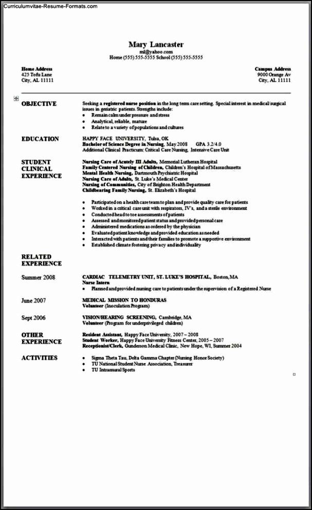 Resume Templates In Word 2007 Free Samples Examples
