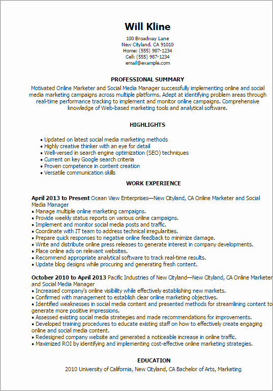 Resume Templates Line Marketer and social Media