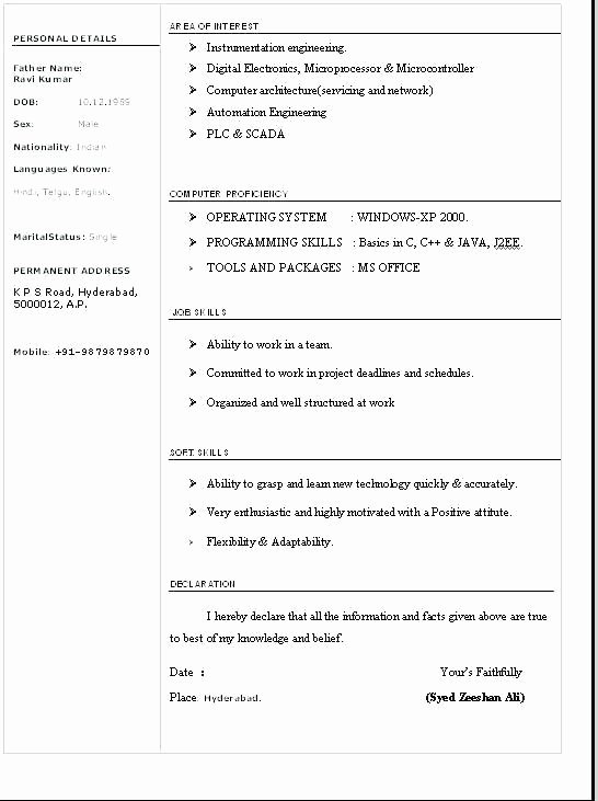 Resume Templates Microsoft Word 2013