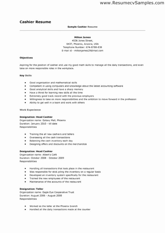 Resumes Examples for Cashier