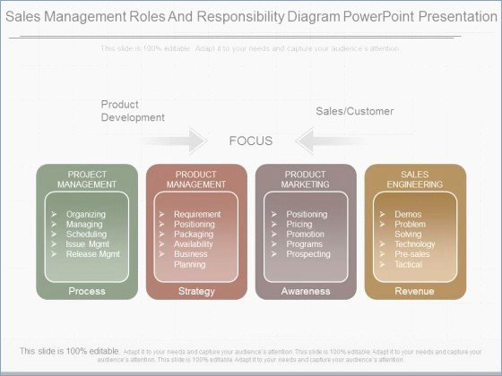 Roles and Responsibilities Template Powerpoint