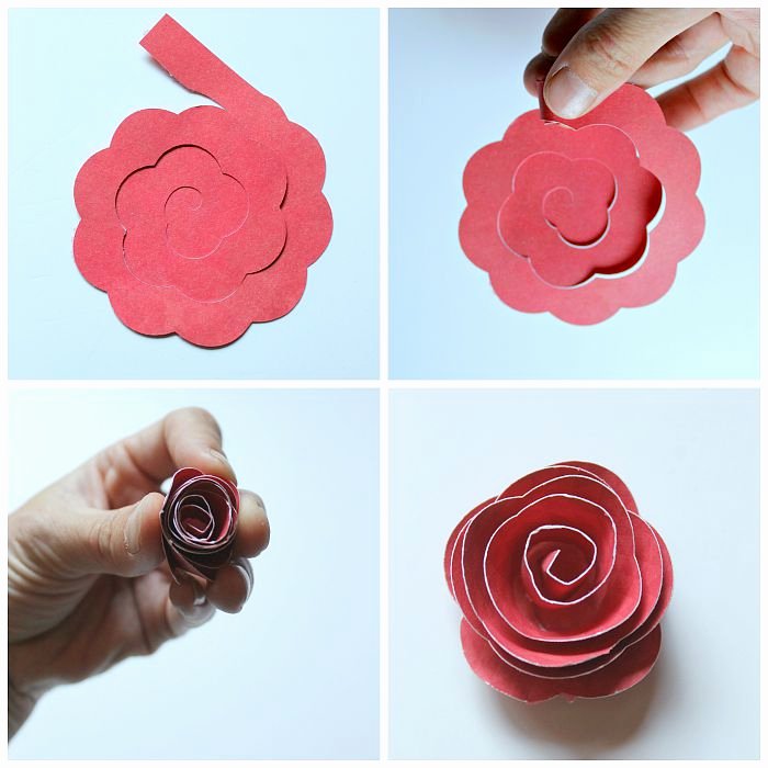 Rolled Paper Flower Shadowbox