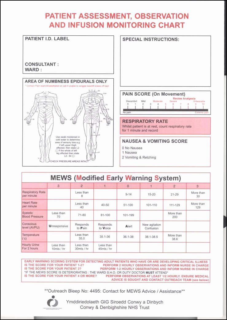 S Nursing Skin assessment forms Anatomy Labelled