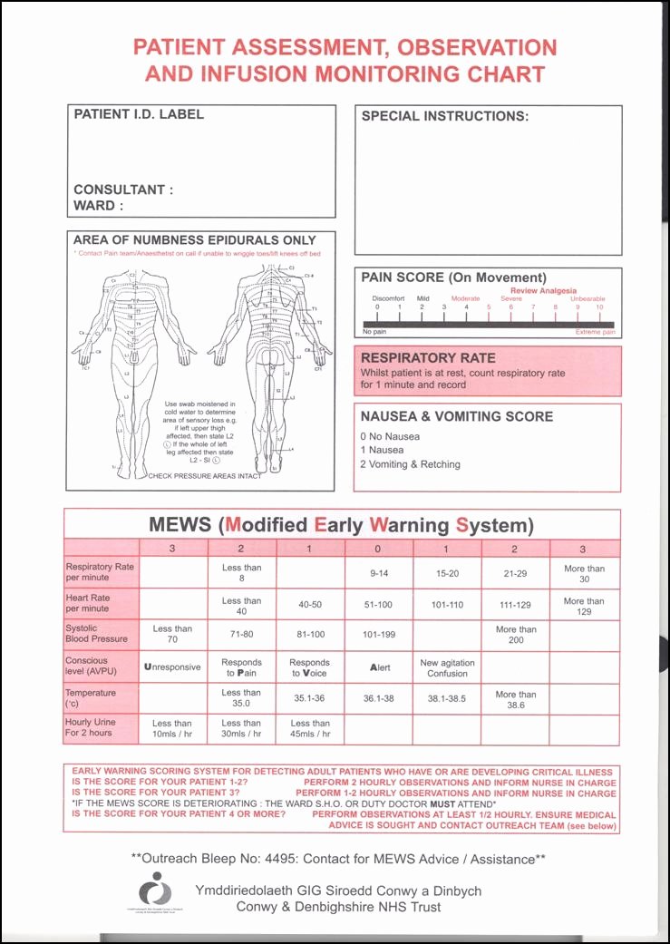 Nursing Assessment Documentation Template Latter Example Template ...