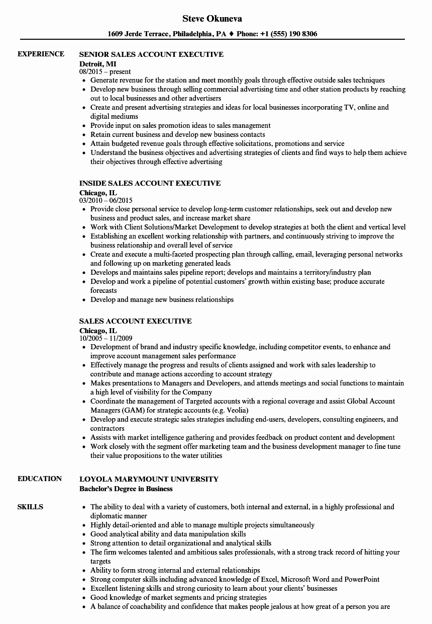Sales Account Executive Resume Sample – Perfect Resume format