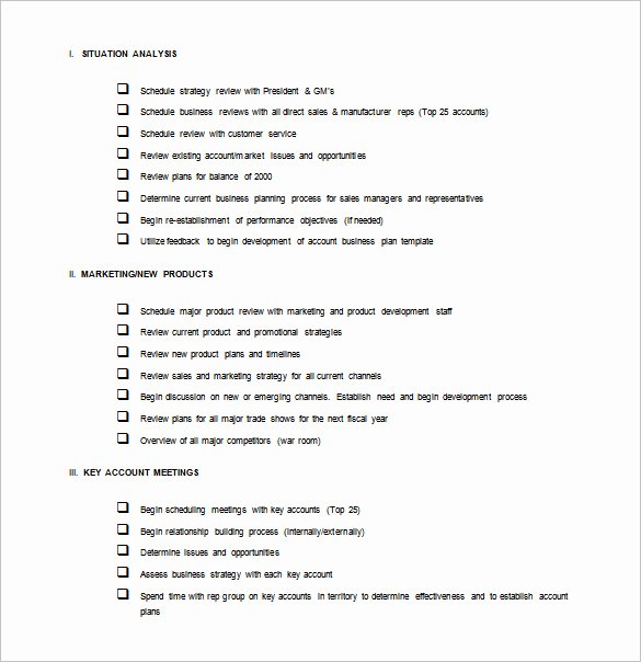 Sales Action Plan Template 12 Free Sample Example