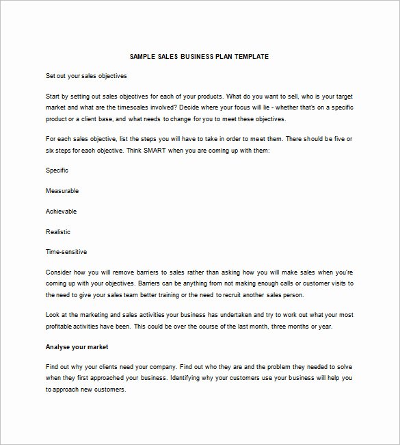 Sales Business Plan Template 12 Word Excel Pdf format