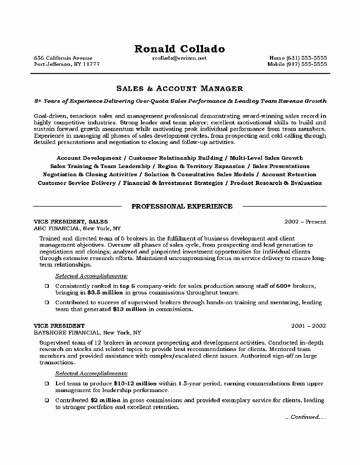 Sales Executive Resume Objective