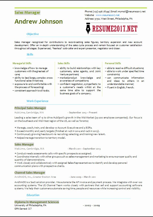 Sales Manager Resume Template 2017