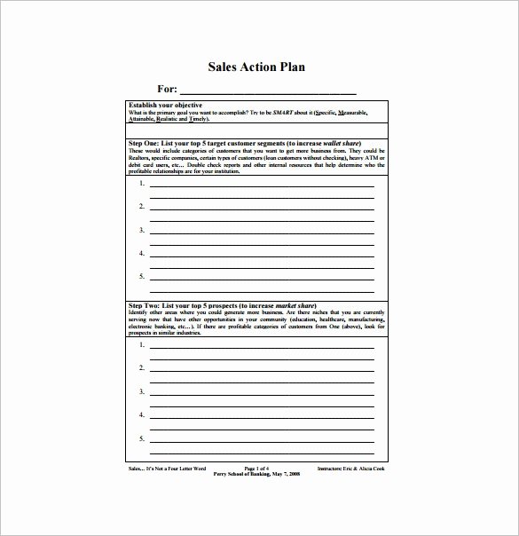 Sales Plan Template 23 Free Sample Example format