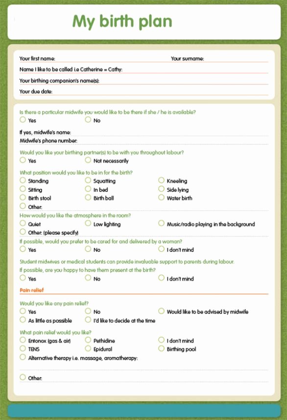Sample Birth Plan form Template Worksheet