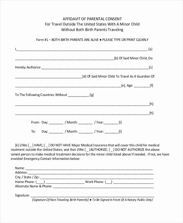 Sample Child Travel Consent form 8 Free Documents In