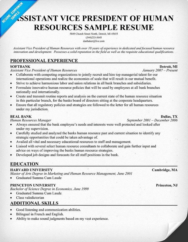 Sample Cover Letter Sample Resume Vp Human Resources