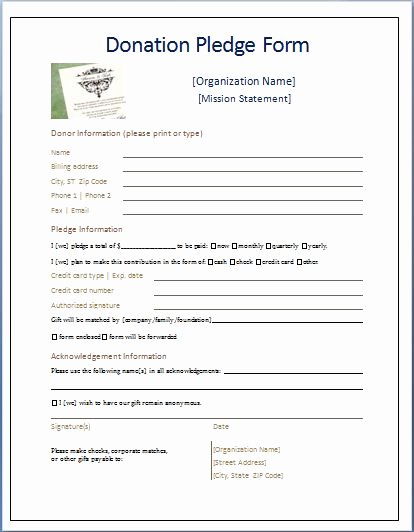 Sample Donation Pledge form