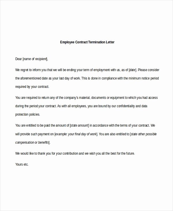 Sample Employee Termination Letter 8 Free Documents In Pdf
