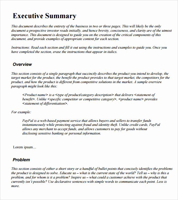 Sample Executive Summary Template 12 Documents In Pdf