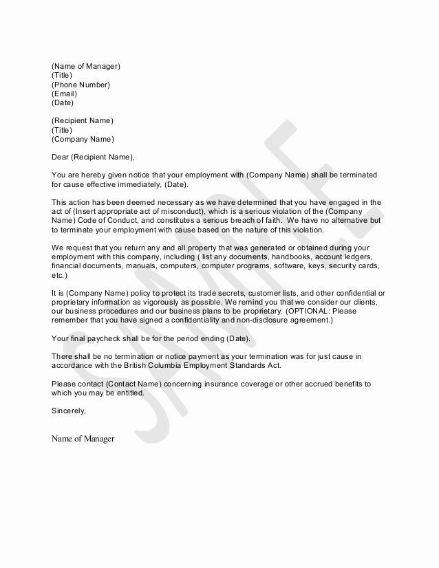 Letter Of Termination Samples Letter Example Template 0065